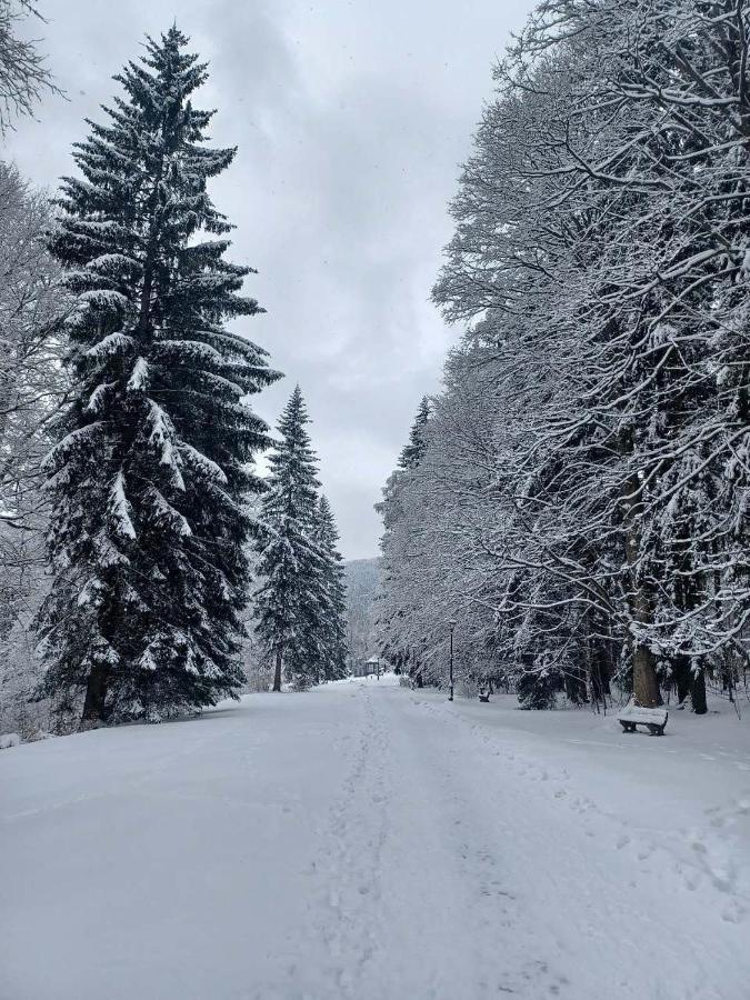 Apartmány u vleku Karlova Studánka Esterno foto